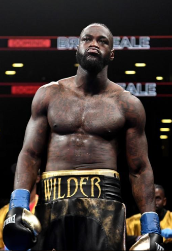 Wilder-box-champion
