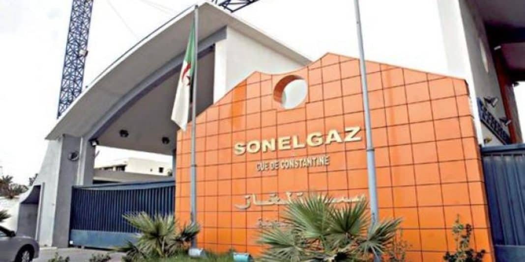 sonelgaz