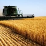 agriculture_algerienne